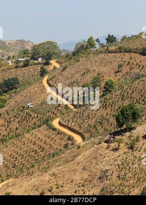 Hillside farmland near Kalaw in Myanmar (Burma). This area is popular for trekking with overseas tourists walking between Kalaw and Inle Lake. Stock Photo