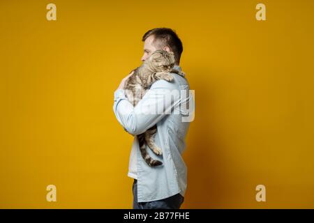 Man hugs his beloved cat, Scottish Fold, she is very upset and sad, a yellow background. Concept of love for pets. Stock Photo