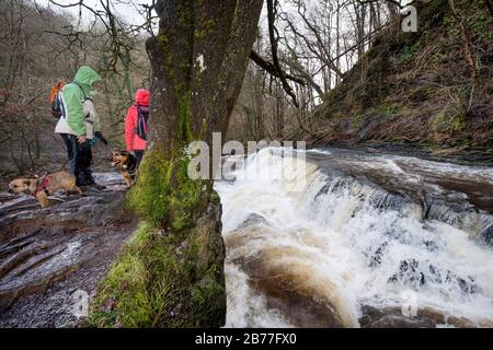 Dog walkers at the Sgwd y Pannwr falls on the River Mellte near Pontneddfechan in the Brecon Beacons, Wales UK Stock Photo