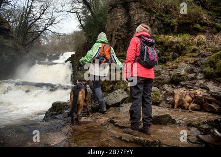 Walkers tread carefully on the banks of the River Mellte at the Sgwd Isaf Clun-Gwyn falls near Pontneddfechan in the Brecon Beacons, Wales, UK Stock Photo