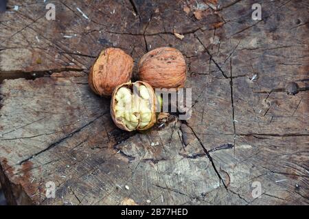 Little walnuts on the walnut tree  in Armenia. Green unripe walnuts hang on a branch. Green leaves and unripe walnut. Raw walnuts  in a green nutshell. Stock Photo