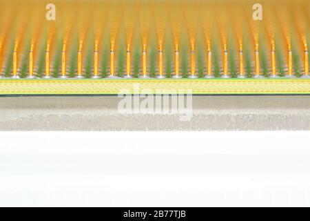 Central processor unit. Golden pins of a core. Copy space in the bottom. Shallow depth of field. Stock Photo