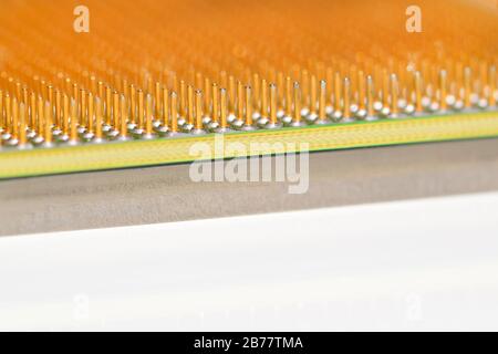 Central processor unit. Golden pins of a core. Copy space. Close-up. Stock Photo