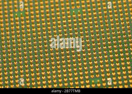 Golden pins of a core. Central processor unit. Shallow depth of field. Stock Photo
