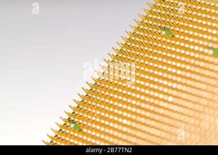 Central processor unit - CPU. Golden pins. Copy space in the top left corner. Shallow depth of field. Stock Photo