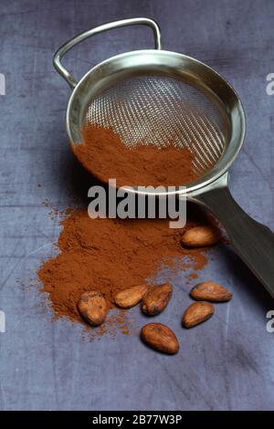 Cocoa powder in sieve and cocoa beans, Germany Stock Photo