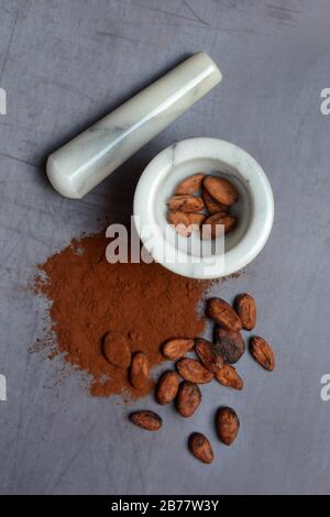 Cocoa beans in grated shell and cocoa powder with cocoa beans, Germany Stock Photo