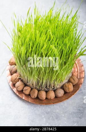 Happy Nowruz holiday background. Celebrating  whalnuts, seeds, light background with green grass wheat, copy space top view Stock Photo