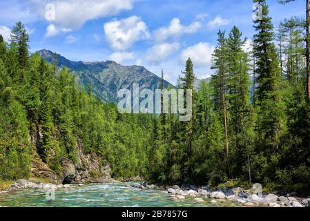 Boreal forest and shallow mountain stream. Summer landscape in Eastern Siberia. Sayan mountains. Buryatia. Russia Stock Photo