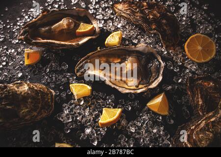Fresh opened oyster offered as top view on crushed ice Stock Photo