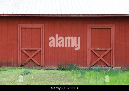 a painted red barn with white roof and double doors with grass field Stock Photo