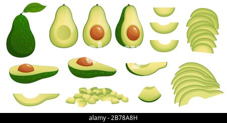 Cartoon avocado. Ripe avocados fruits, healthy nutritious natural food and avocado slices vector illustration set Stock Vector