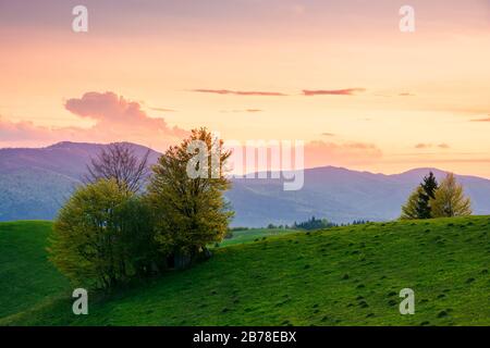 rural landscape in mountains at dusk. amazing view of carpathian countryside with fields and trees on rolling hills. glowing purple clouds on the sky. Stock Photo