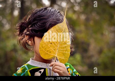 Shy kid hides her face with a leaf Stock Photo