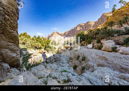 Wadi Tiwi real water spring and waterfall, Oman - Water spring, waterfall and eroded canyon surrounded by palm trees oasis in Oman. Stock Photo