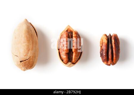 Set of three pecans in the center in a shell, peeled and without a shell isolated on a white background in a row. Close-up, top view Stock Photo