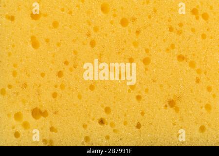 Sponge texture background. Stock Photo