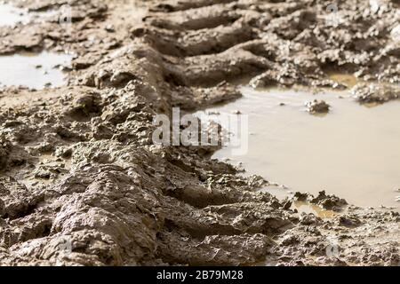Wet flooded muddy soil in a nature reserve field as wet weather soaks land. Tractor tyre tread pattern prints impression in the mud with puddles. Stock Photo