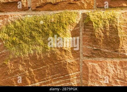 Stone walls. Beautiful and interesting background. Rough structure. Mossy stone. Old wall. Brown and black. Stock Photo