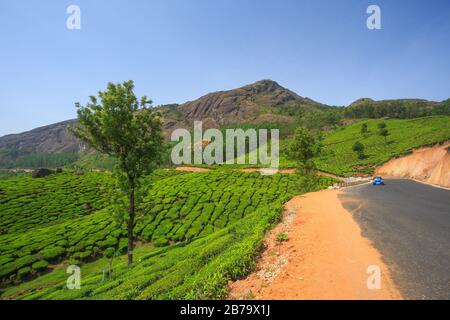 Winding road along the beautiful tea plantations in Munnar hills (Kerala, India) Stock Photo