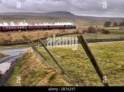 Ribblesdale, North Yorkshire, UK. 14th March, 2020. As the rain falls 'The Winter Cumbrian Mountain Express' steam special hauled by 'Alberta' 45562 (actually sister engine 'Galatea' 45699 in new livery) is seen here at Selside near Horton-in- Ribblesdale, in the Yorkshire Dales National Park, travelling south from Carlisle on the famous Settle to Carlisle railway line.  Pen-y-ghent peak is seen in the background. Credit: John Bentley/Alamy Live News Stock Photo