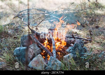 fire burning in a improvised fire pit in nature Stock Photo