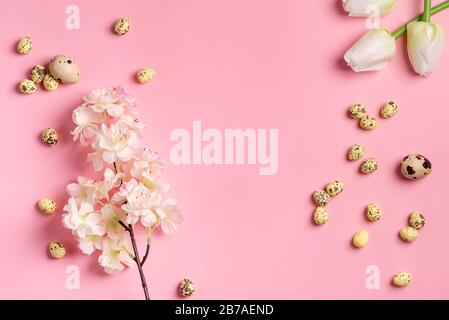 Holiday Easter festive card from quail eggs, fresh natural tulips and cherries branch on a pink background, copy space. Top view. Happy Easter concept Stock Photo