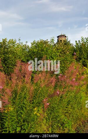 Weeks State Park - John Wingate Weeks Estate on the summit of Mt. Prospect in Lancaster, New Hampshire USA. The Mount Prospect Tower was built by John Stock Photo