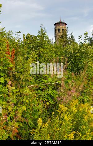 Weeks State Park - John Wingate Weeks Estate on the summit of Mt. Prospect in Lancaster, New Hampshire USA. The Mount Prospect Tower was built by John Stock Photo