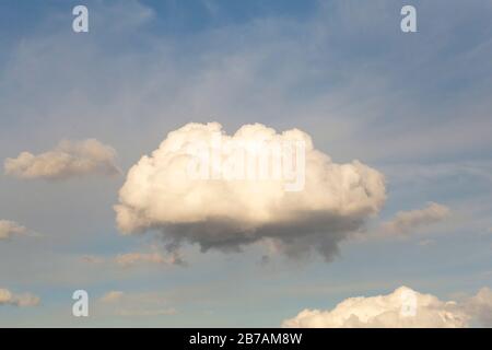 A cumulus cloud floating across the sky. Little cumulus before the rain in the rays of the setting soft sun. Stock Photo