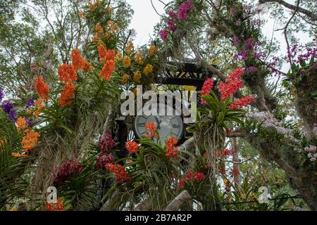 Clock Tower seen in Singapore Botanical Garden. Stock Photo