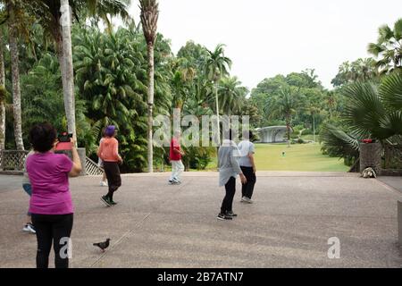 Group of senior citizens seen in a dance exercise class in Singapore Botanic Gardens. Stock Photo