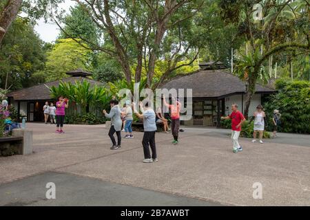 Group of senior citizens seen in a dance exercise class in Singapore Botanic Gardens. Stock Photo