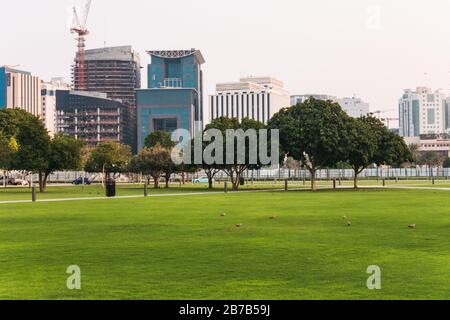 The well-maintained grassy lawns of MIA Park in Doha, Qatar Stock Photo