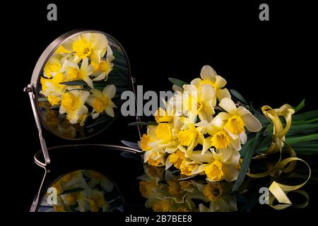 Yellow spring flowers daffodils on a black background with reflection in the mirror. Minimalist black. Stock Photo
