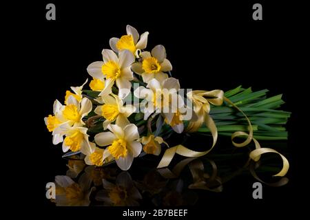 Yellow spring flowers daffodils on a black background with reflection in the mirror. Minimalist black. Stock Photo