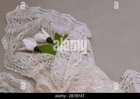 A large fragment of a bouquet of two snowdrops wrapped in a down shawl on the left, view from the front at a slope. Stock Photo