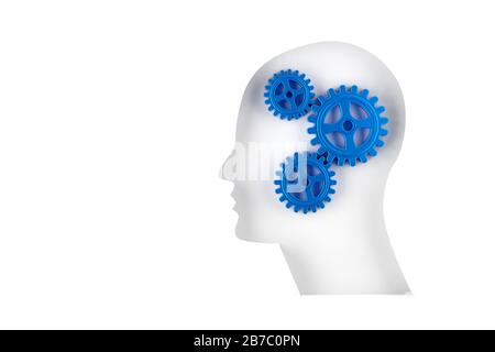 Blue gears cogwheels in human head shape isolated on white background - strategy, creative or business innovation modern minimal concept, 3D illustrat Stock Photo