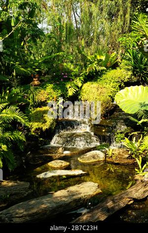 Waterfall among green trees and rocks Stock Photo