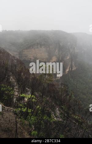 Govetts Leap Lookout on a moody rainy day with heavy fog. Blue Mountains, New South Wales. Stock Photo