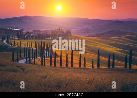 Magical Tuscany landscape with grain fields, cypress trees and houses on the hills at sunset. Autumn rural landscape with curved road in Tuscany, Ital Stock Photo