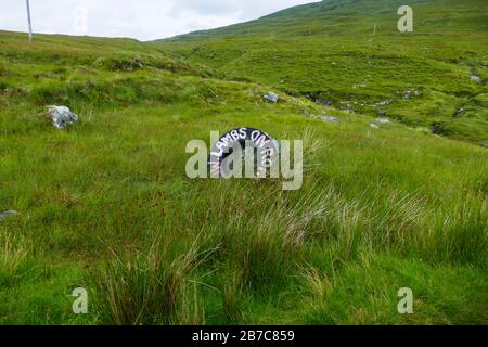 Hinweis auf Reifen mit dem englischen Text Slow lambs on road, in den Highlands von Schottland Stock Photo