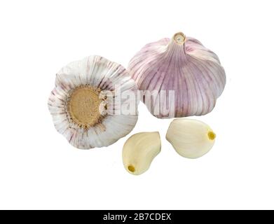 Garlic isolated on white background close up. Raw garlic with clove. Garlic bulb. Stock Photo
