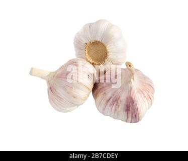 Garlic isolated on white background close up. Raw garlic with clove. Garlic bulb. Stock Photo
