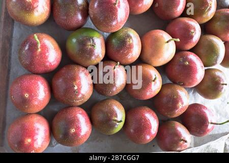 dh PNG Market ALOTAU PAPUA NEW GUINEA Passion fruit markets product display bunches Stock Photo