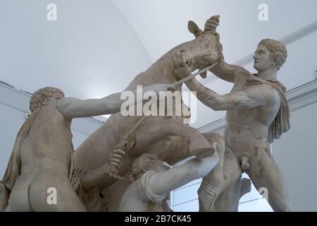 A marble statue of the Toro Farnese also known as the Farnese Bull at the Nation Archeological Museum of Naples in Italy