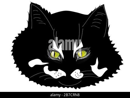 black cat isolated on a white background Stock Vector