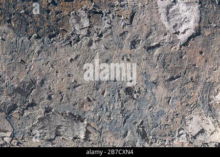 Texture of old gray concrete wall for background Stock Photo