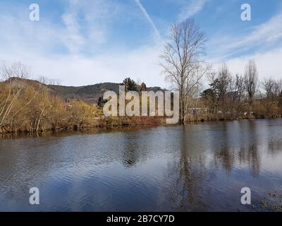 View of brown trees without leafs during winter in Germany Stock Photo