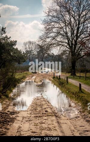 Flooded land and puddles on the muddy trails after a wet rainy winter season, photo taken in early spring in the Holtingerveld nature reserve near Hav Stock Photo